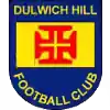 达尔维奇希尔